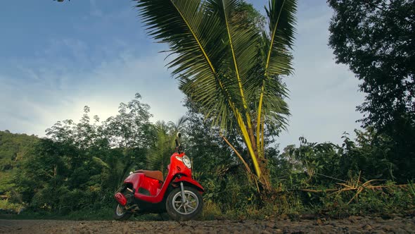 The Red Motorbike on Forest Road Trail Trip alt
