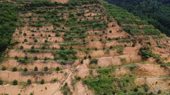 Deforestation on slope of a hill cleared for agriculture in Southeast Asia alt