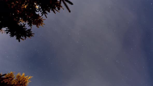 The Beautiful Autumn Night Sky with Shooting Stars