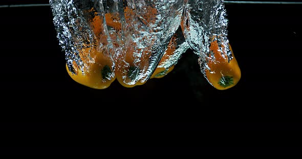 Yellow Sweet Peppers, capsicum annuum, Vegetable falling into Water against Black Background alt