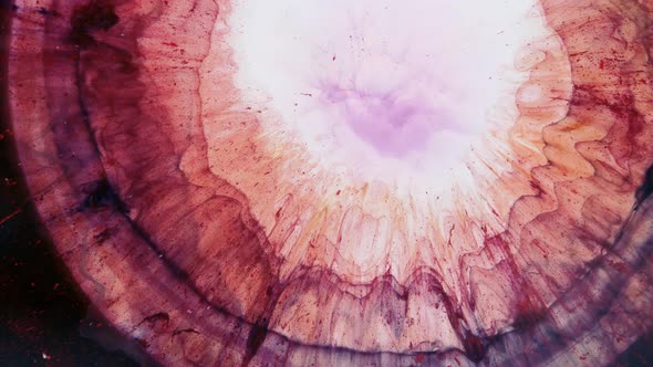 Abstract Grunge Color Ink Paint Spread Explosion Narrowing Space Explosion Background alt