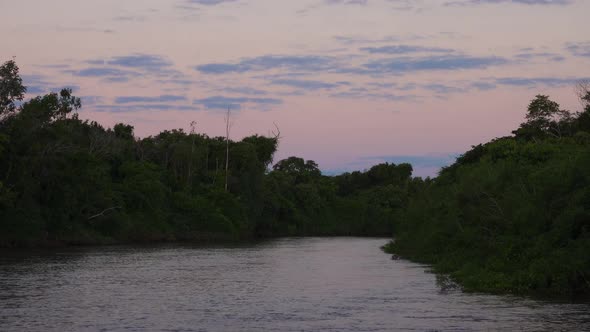 Tropical River at Sunset in Pantanal