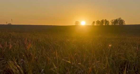 Flat Hill Meadow Timelapse at the Summer Sunset Time. Wild Nature and Rural Grass Field. Sun Rays alt