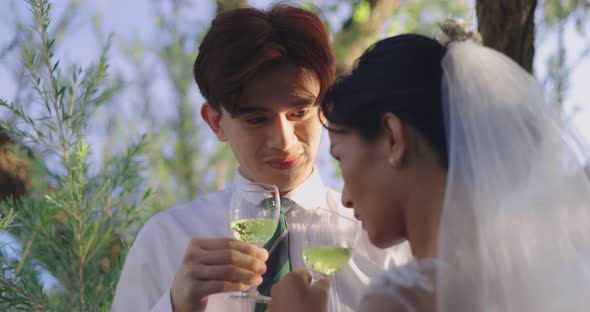 Slow motion Asian Bride And Groom Enjoying Champagne On Their Wedding Celebration. alt