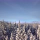 Flight Over Snowcovered Trees in the Mountains in Winter - VideoHive Item for Sale