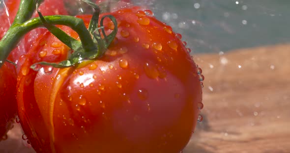 Washing a bunch of fresh, delicious, vine ripened tomatoes outside in the sunlight alt