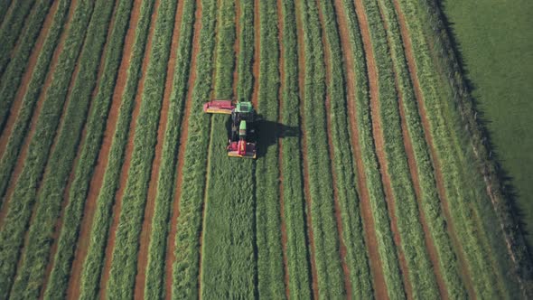 Harvesting crops on a farm with a tractor. Aerial drone view alt