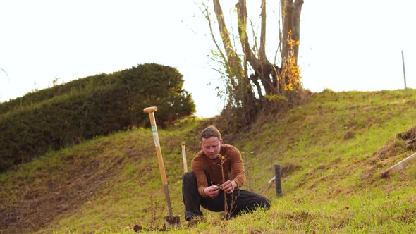 Man plants tree, working in the garden. Nature, environment and ecology concept. alt