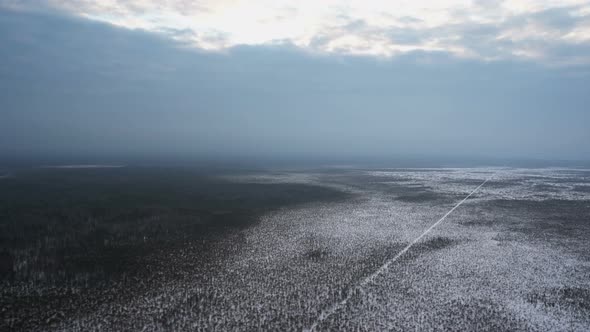 Top View From a Low-flying Plane on the Blue Snow-covered Low Forest on Which a Flat Line for Many