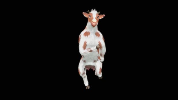 Cow Dance HD alt