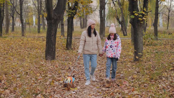 Mom and Daughter are Walking Along an Autumn Alley with a Dog alt