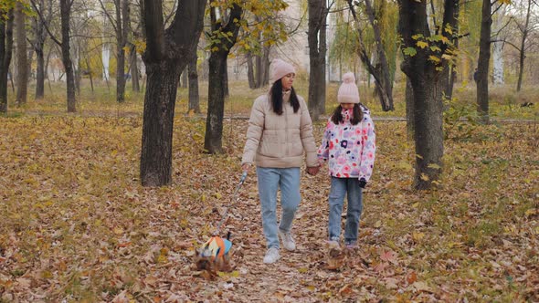 Mom and Daughter are Walking Along an Autumn Alley with a Dog