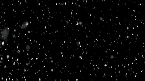 Slow Motion of Real Snow Falling on Black Background. It Is Snowing in Cold Winter Christmas alt