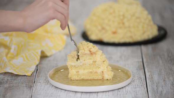 Traditional Italian Dessert Homemade Mimosa Cake