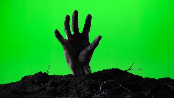 Zombie Hand Emerging From the Ground Grave. Halloween Concept. Green Screen. 015 alt