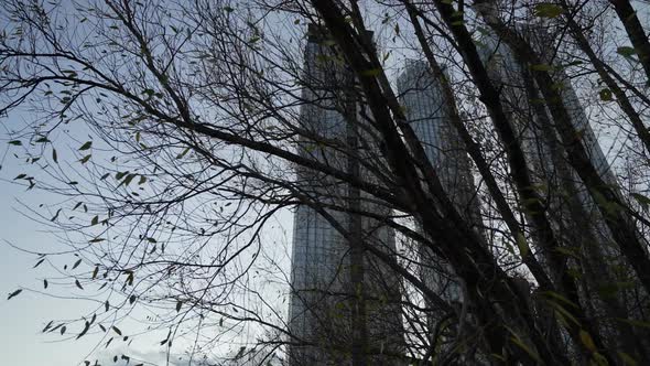 The Process of Construction of the Towers of the Business Center