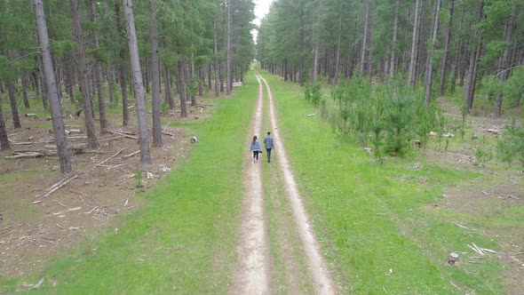 Two people walking along trail between tall pine trees in a forrest alt