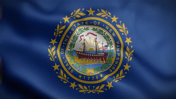 New Hampshire State Flag Front