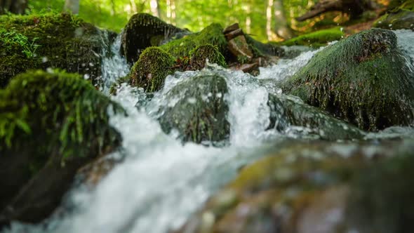 Purest Mountain River in the Forest. Stream of Water Moves Between the Stones Covered with Moss. HDR alt
