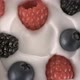 Yogurt decorated with fresh black-red raspberries and blueberries - Swirl shot - VideoHive Item for Sale