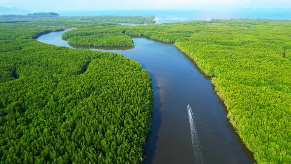 Top view of winding river in tropical mangrove green tree forest in khao jom pa alt
