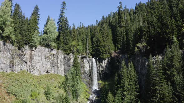 Waterfall flowing through trees