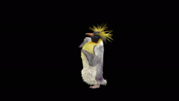 Penguin Dancing 4K alt