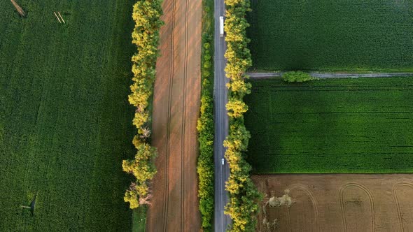 Drone Flying Over Road Between Green Agricultural Fields During Dawn Sunset