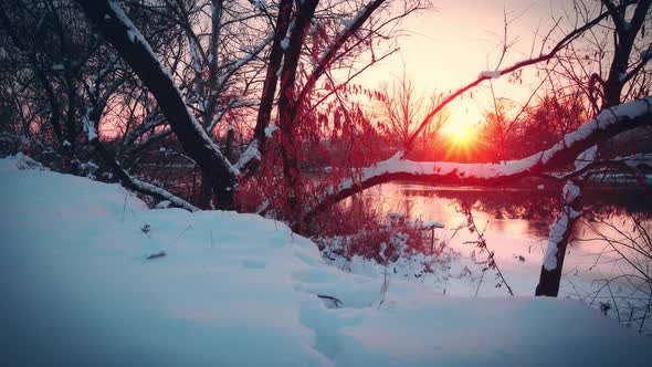 winter landscape, sunset. snowflakes background