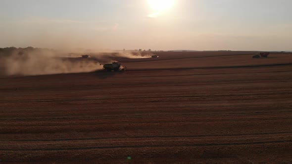 Aerial shot: fly along combines harvesting at sunset