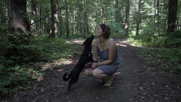 Dog Walker with Dogs Enjoying in Park. Professional Servise Training in Forest and City Streets, alt