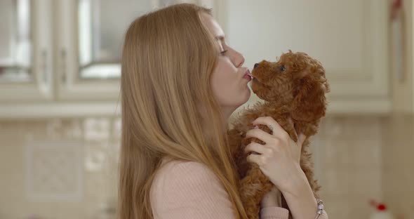 A poodle puppy licks the face of a young beautiful girl while she holds him in her arms