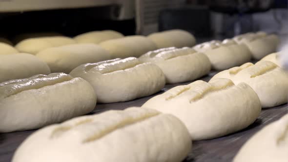 Making a Loaf of Bread in the Bakery. Loaf of Bread on the Production Line in the Baking Industry alt