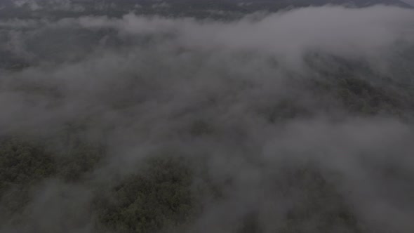 Aerial view of foggy mountains, clouds and forest