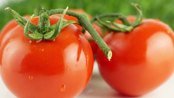 Ripe natural tomatoes close-up. Organic tomato rotating on a green background Macro shot. alt
