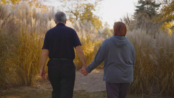 Back View of Elderly Couple Holding Hands While Walking Together in Park  alt