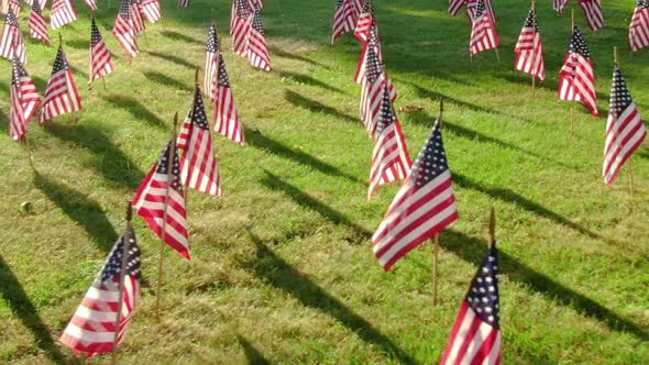 Close up of USA flags fluttering on the wind and casting a shadow on the green lawn. 4th July Indepe alt