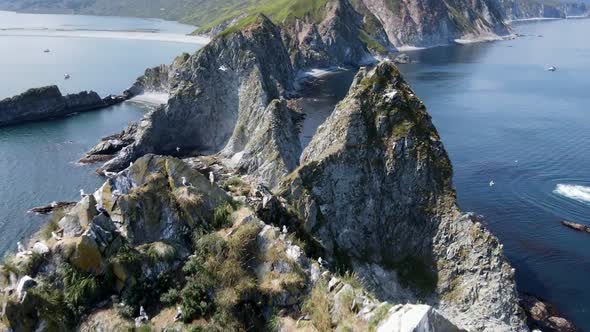 rocks and flying birds from high