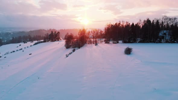 Aerial View of Mountain with Evergreen Forest During Sunrise with Cloudy Sky alt