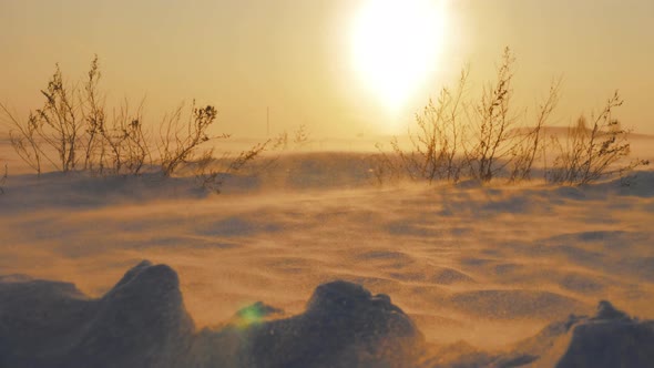 Arctic Snow Storm at Sunset alt
