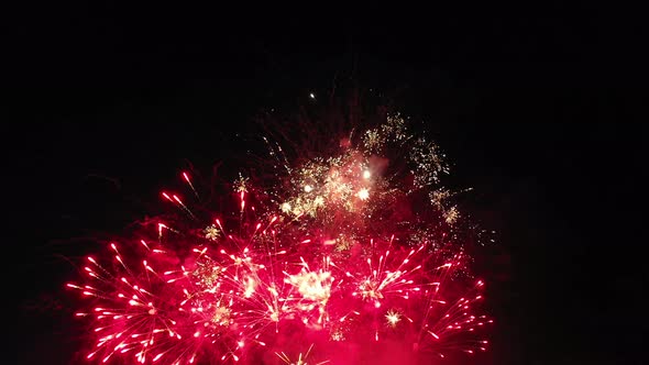 Beautiful Fireworks in the Night Sky