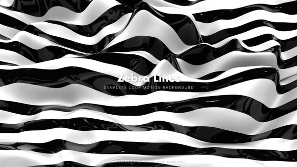 Zebra Lines 7 alt