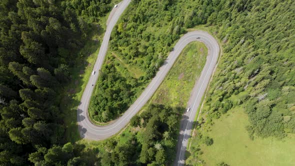 Drone Hover Symetrical Road Turn Between Pine Forest