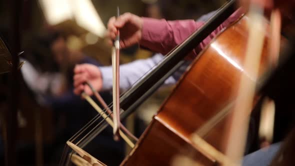 Person performing on a cello