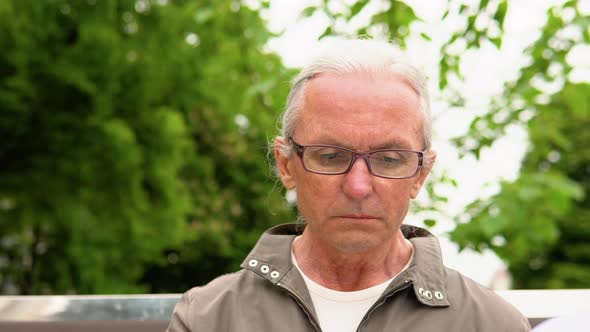 Senior Man Reading Book Sitting on Bench in Park alt