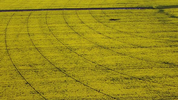 Aerial view drone. Beautiful idyllic nature aerial forward motion view over agricultural countryside alt