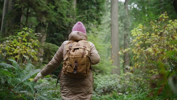 Slow Motion Young Woman Hiking in Forest in Autumn Active Woman with a Backpack alt