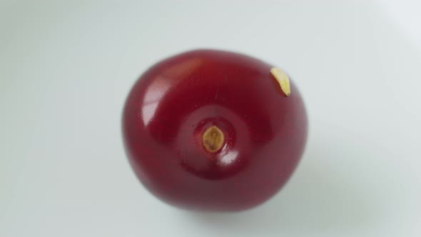 Larva Worm Crawls Along the Smooth Surface of Ripe Large Juicy Red Cherry alt