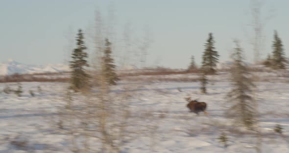 Helicopter aerial zoom to foggy Downtown LA cityscape from surrounding city, overcast day alt