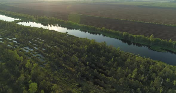 Aerial View of Bog Forest with Lake and Transition Line To Peat Harvesting Field alt